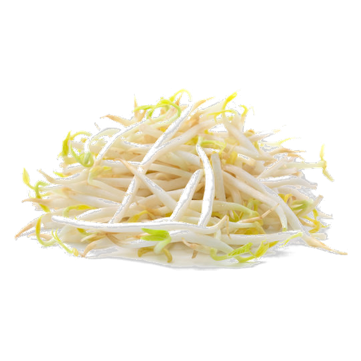 Bean Sprout